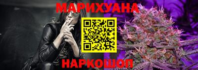 гидропоника Гатчина