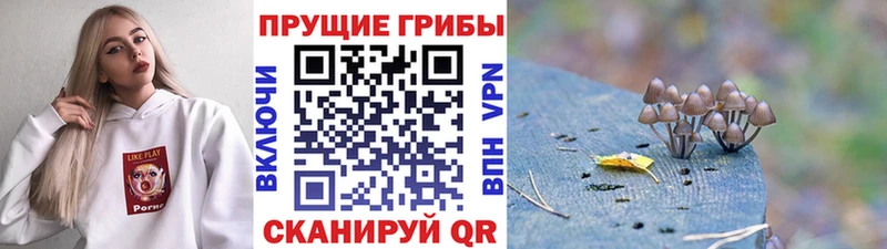 Галлюциногенные грибы GOLDEN TEACHER  где можно купить   Дятьково 