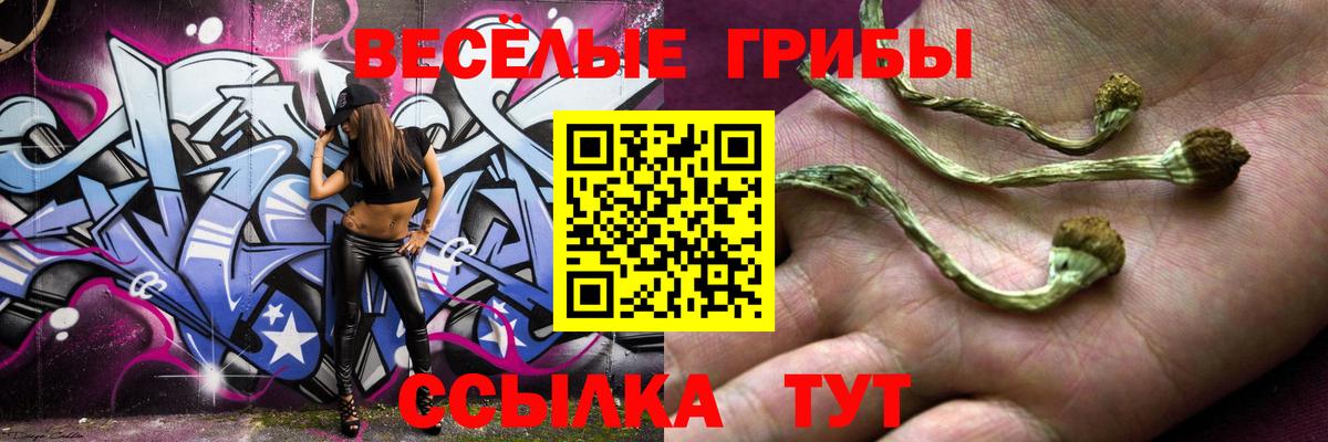 Псилоцибиновые грибы Magic Shrooms Дятьково