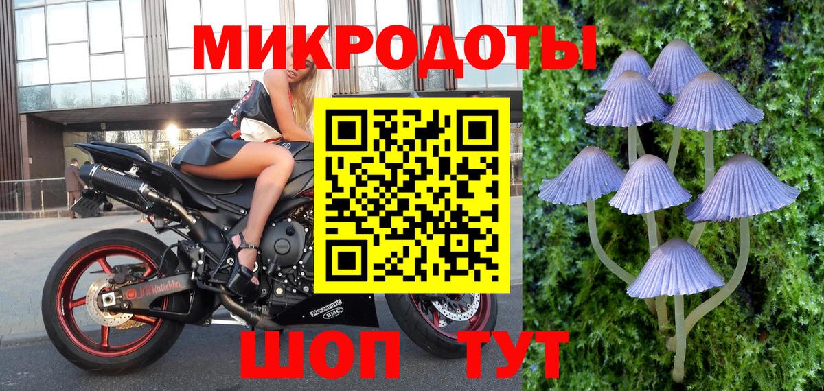 Галлюциногенные грибы MAGIC MUSHROOMS  Галлюциногенные грибы Psilocybe  Вход с VPN  Дятьково 